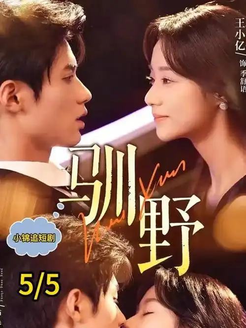 逆流年代 工业年代剧集封面